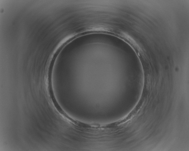 X0000051241331200506241511