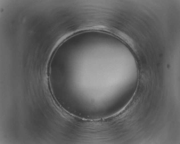 X0000051241332200506241512