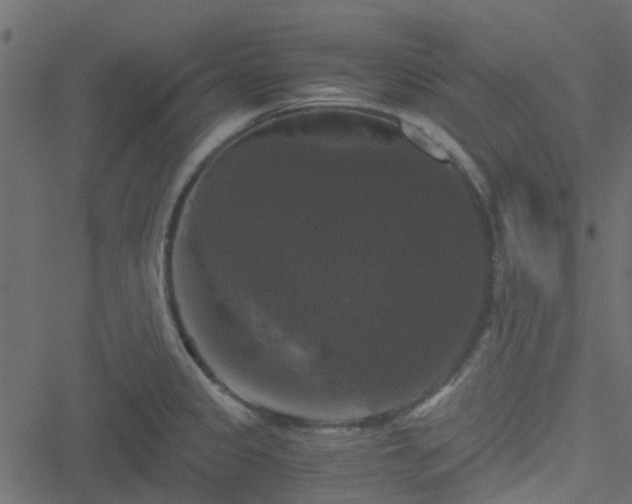 X0000051241333200506241512