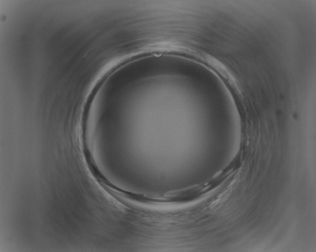 X0000051241334200506241512