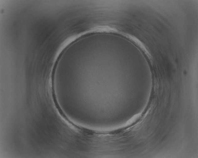 X0000051241335200506241512