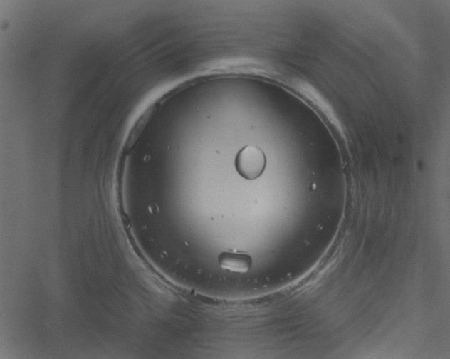 X0000051241336200506241512