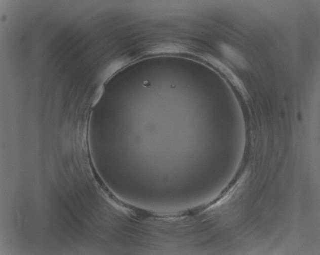 X0000051241337200506241512