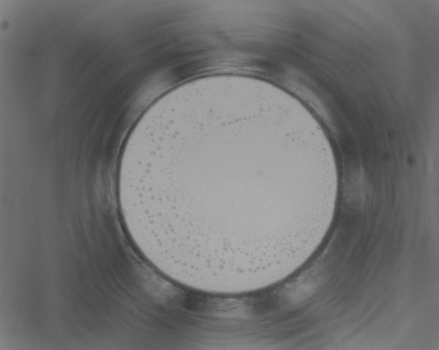 X0000051241338200506241512