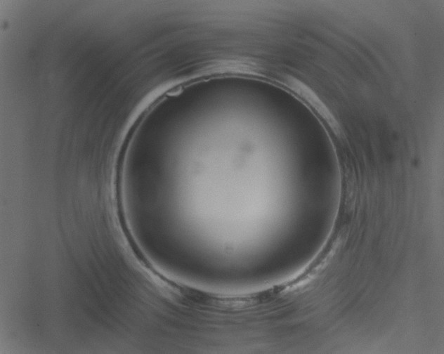 X0000051241339200506241512