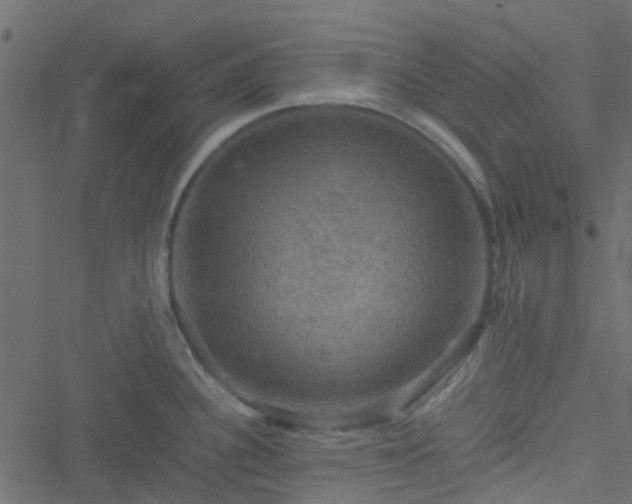 X0000051241340200506241512