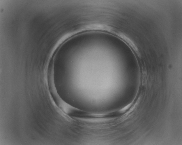 X0000051241342200506241512