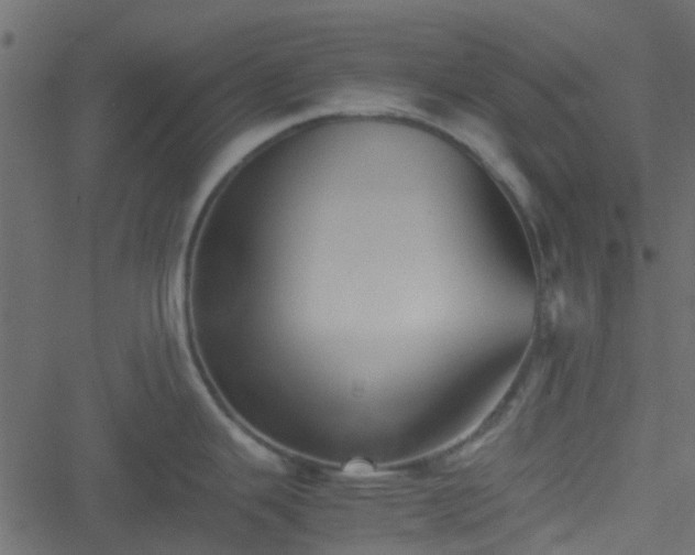 X0000051241343200506241512