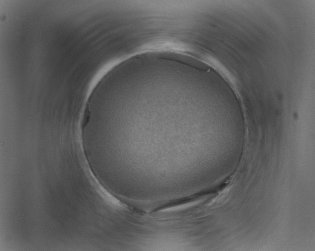 X0000051241344200506241512