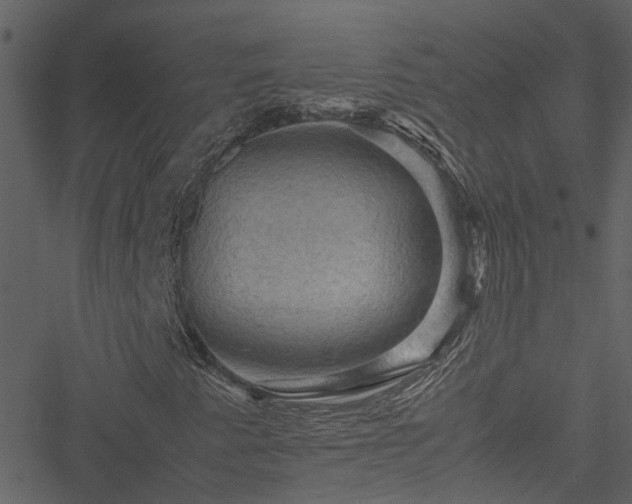 X0000051241345200506241511