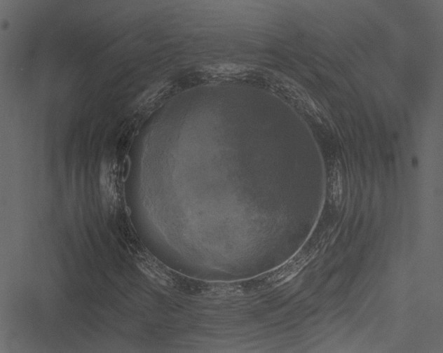 X0000051241346200506241511