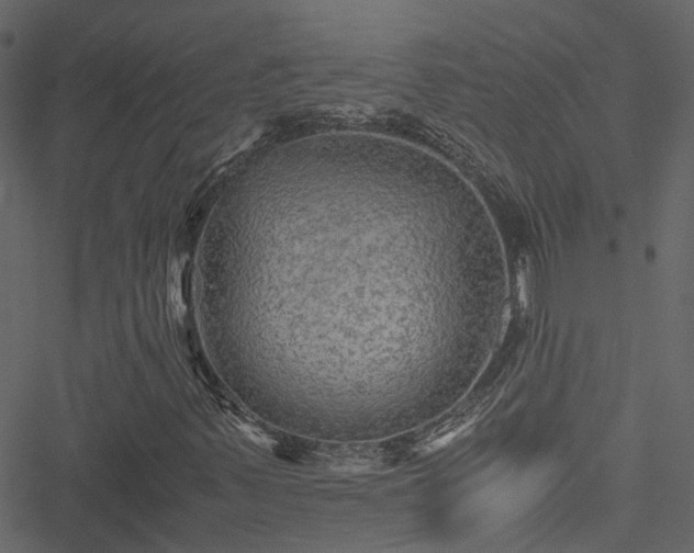 X0000051241347200506241511