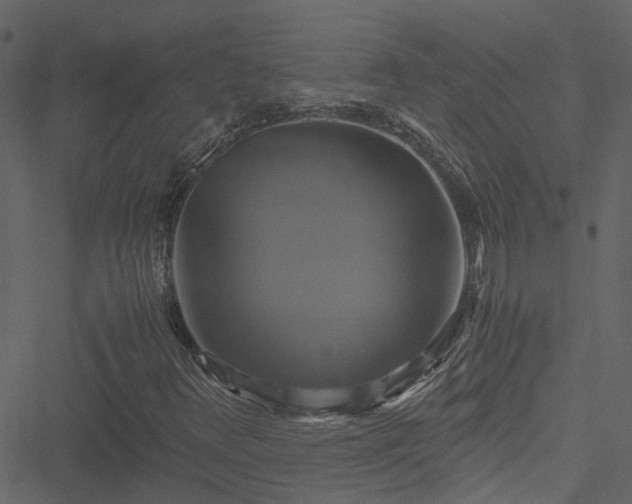 X0000051241348200506241511