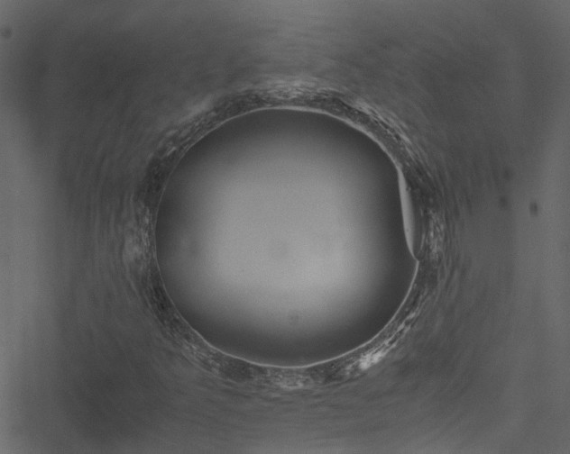 X0000051241349200506241511