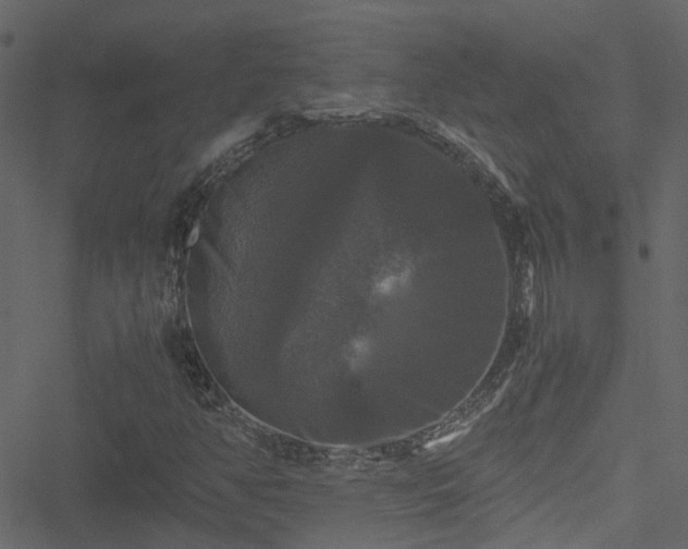 X0000051241350200506241511