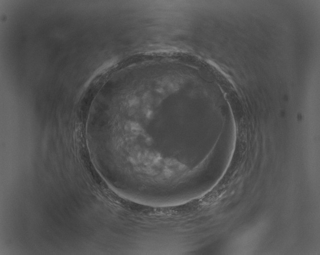 X0000051241351200506241511