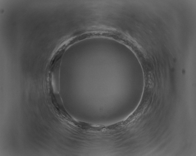 X0000051241352200506241511