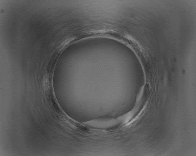 X0000051241353200506241511