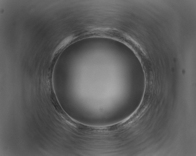 X0000051241354200506241511