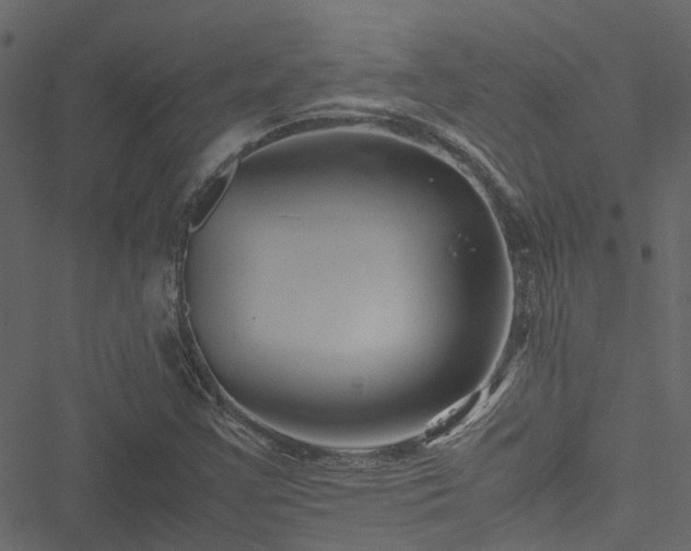 X0000051241355200506241511