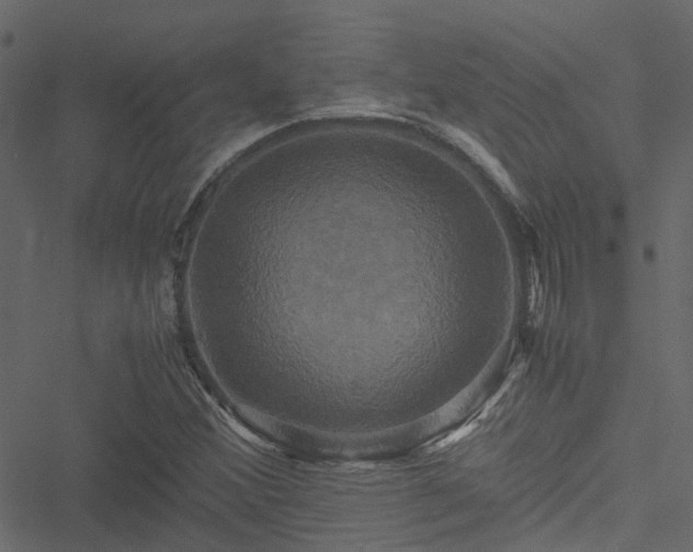 X0000051241356200506241511