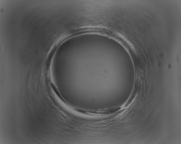 X0000051241357200506241511