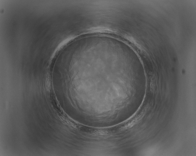 X0000051241358200506241511