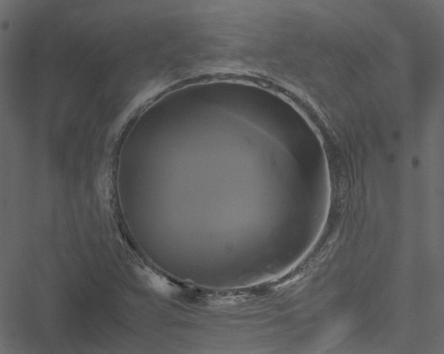 X0000051241359200506241511