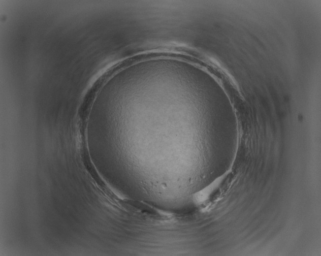 X0000051241360200506241511