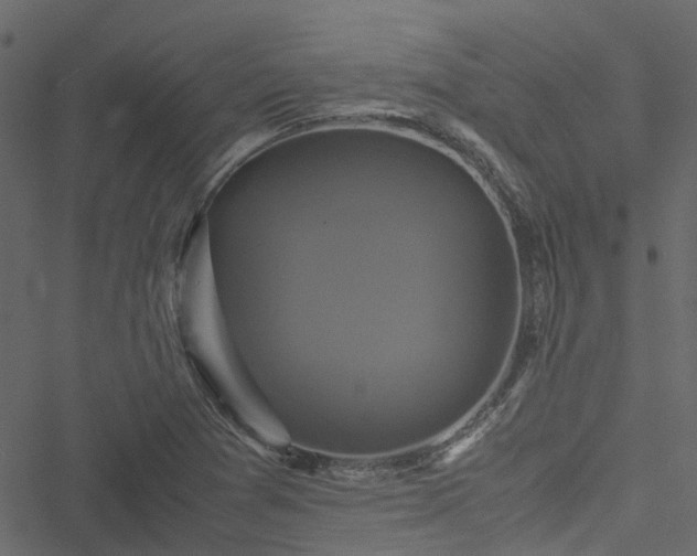 X0000051241361200506241511