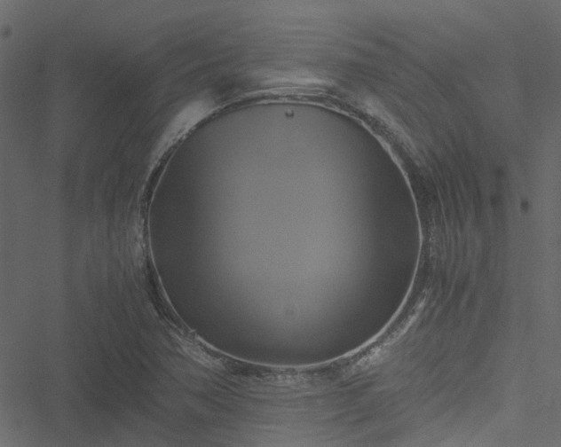 X0000051241362200506241511