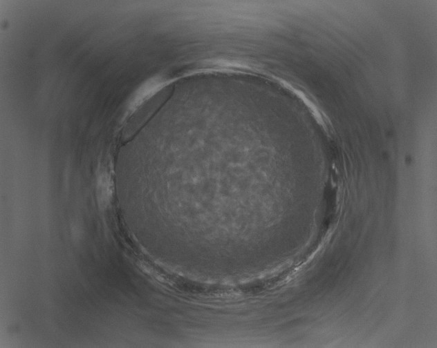 X0000051241363200506241511