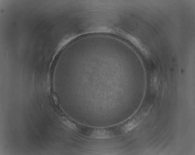 X0000051241364200506241511