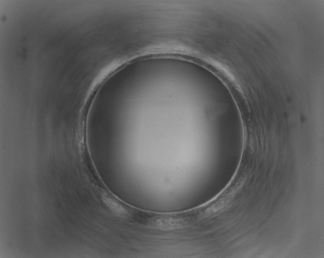 X0000051241366200506241511