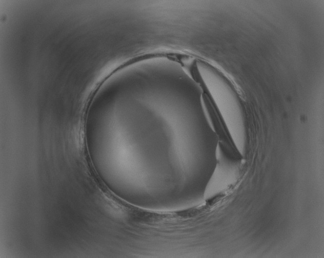 X0000051241367200506241511