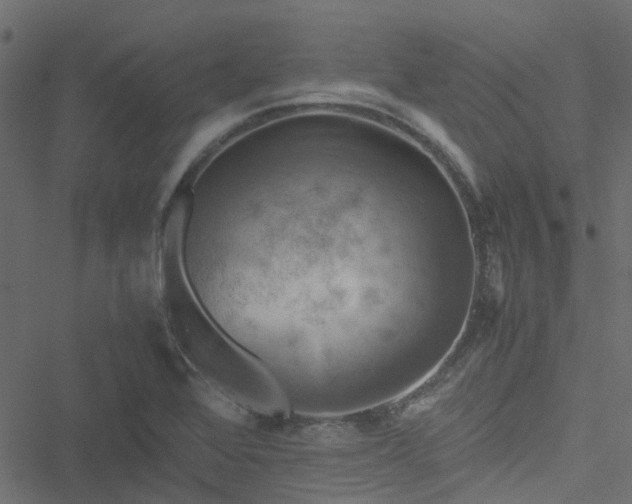 X0000051241368200506241511