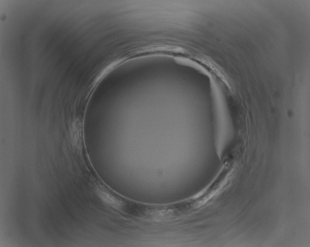 X0000051241369200506241511