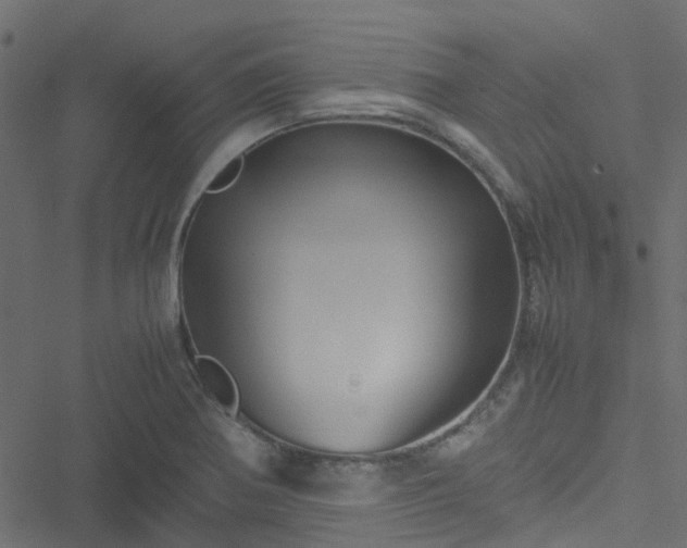 X0000051241370200506241511