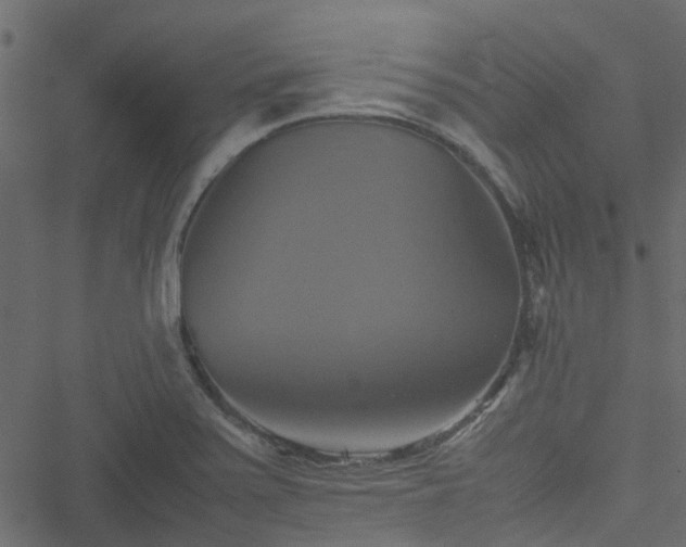 X0000051241371200506241510