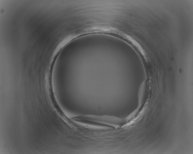 X0000051241373200506241510