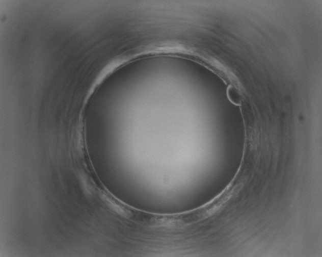 X0000051241374200506241510