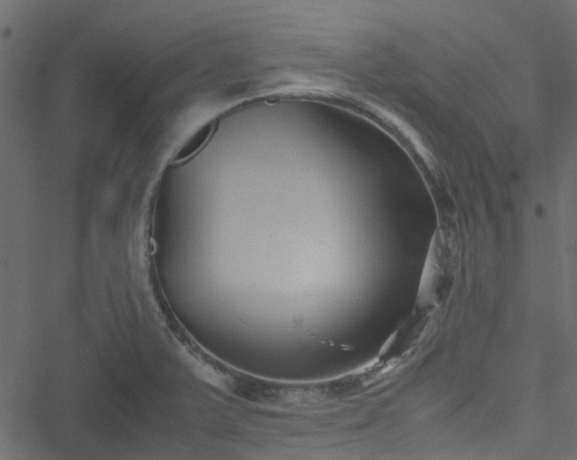 X0000051241375200506241510