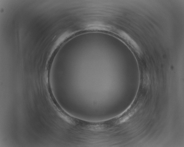 X0000051241376200506241510