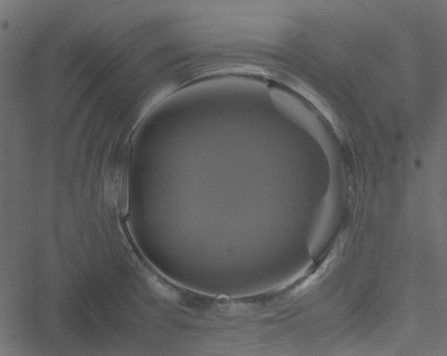 X0000051241377200506241510