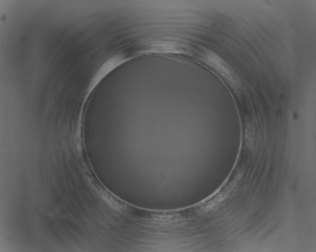 X0000051241378200506241510