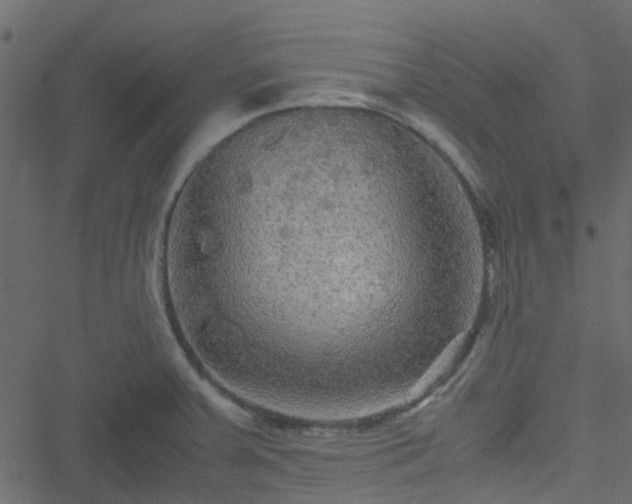 X0000051241379200506241510