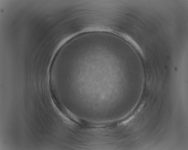 X0000051241380200506241510