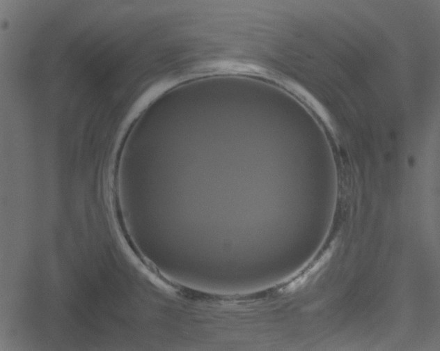 X0000051241381200506241510