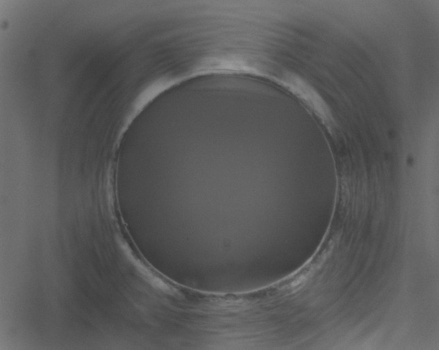 X0000051241382200506241510