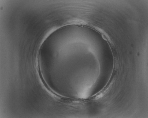 X0000051241383200506241510